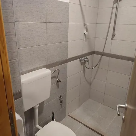 Apartment Bisina *