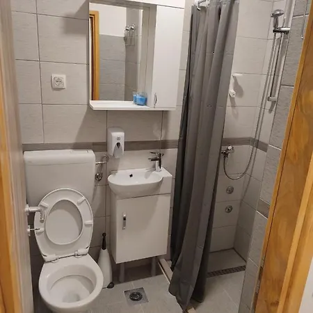 Apartment Bisina *